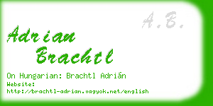 adrian brachtl business card